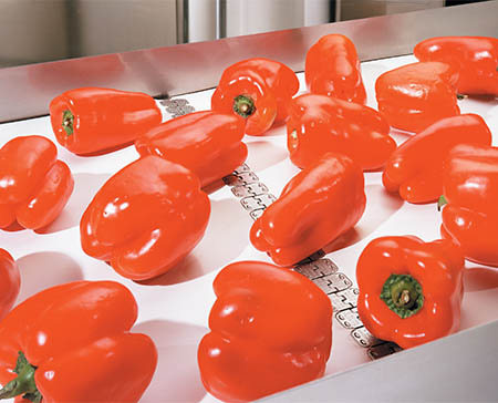 AlligatorStapleOnBeltFood Alligator® Staple Fastening System