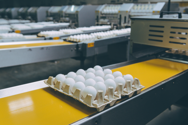 Beltop™ PVC, PU & Homogeneous Conveyor Belts 3 Beltop™ PVC, PU & Homogeneous Conveyor Belts